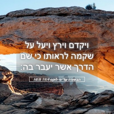 Picture 05 - הבשורה על־פי לוקס 19:4 HEB - ויקדם וירץ ויעל על שקמה - Bible Verse Picture
