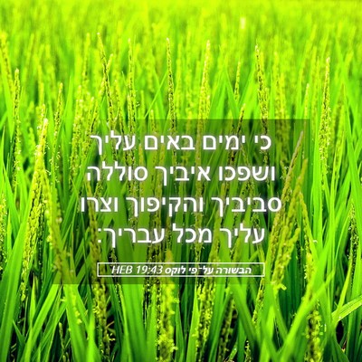 Picture 05 - הבשורה על־פי לוקס 19:43 HEB - כי ימים באים עליך ושפכו - Bible Verse Picture