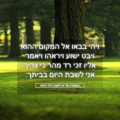 Picture 05 - הבשורה על־פי לוקס 19:5 HEB - ויהי בבאו אל המקום ההוא - Bible Verse Picture
