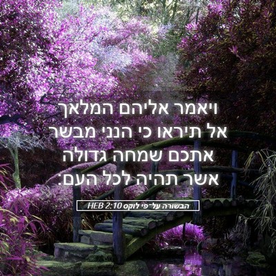 Picture 05 - הבשורה על־פי לוקס 2:10 HEB - ויאמר אליהם המלאך אל תיראו - Bible Verse Picture