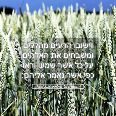 Picture 05 - הבשורה על־פי לוקס 2:20 HEB - וישובו הרעים מהללים - Bible Verse Picture