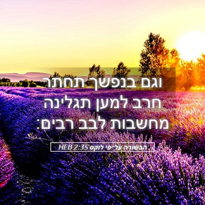 Picture 05 - הבשורה על־פי לוקס 2:35 HEB - וגם בנפשך תחתר חרב למען - Bible Verse Picture