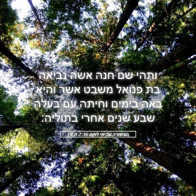 Picture 05 - הבשורה על־פי לוקס 2:36 HEB - ותהי שם חנה אשה נביאה בת - Bible Verse Picture