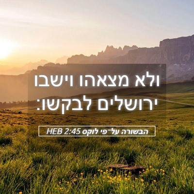 Picture 05 - הבשורה על־פי לוקס 2:45 HEB - ולא מצאהו וישבו ירושלים - Bible Verse Picture