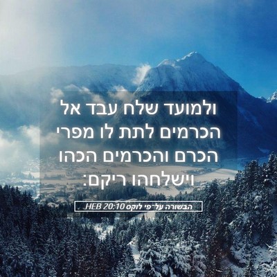 Picture 05 - הבשורה על־פי לוקס 20:10 HEB - ולמועד שלח עבד אל הכרמים - Bible Verse Picture