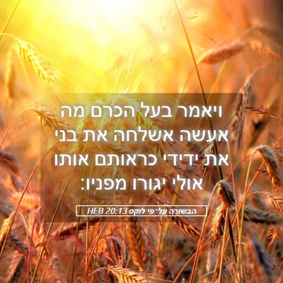 Picture 05 - הבשורה על־פי לוקס 20:13 HEB - ויאמר בעל הכרם מה אעשה - Bible Verse Picture