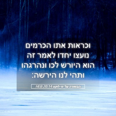Picture 05 - הבשורה על־פי לוקס 20:14 HEB - וכראות אתו הכרמים נועצו - Bible Verse Picture