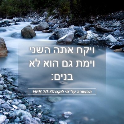 Picture 05 - הבשורה על־פי לוקס 20:30 HEB - ויקח אתה השני וימת גם הוא - Bible Verse Picture