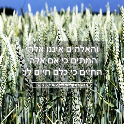 Picture 05 - הבשורה על־פי לוקס 20:38 HEB - והאלהים איננו אלהי המתים - Bible Verse Picture