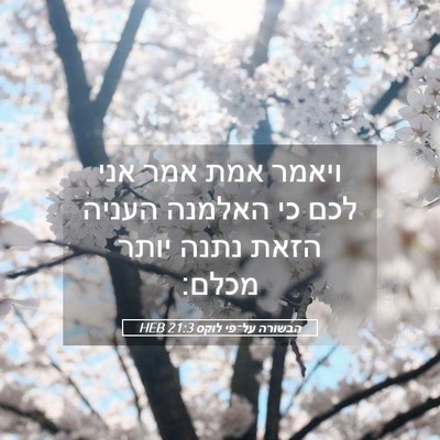 Picture 05 - הבשורה על־פי לוקס 21:3 HEB - ויאמר אמת אמר אני לכם כי - Bible Verse Picture