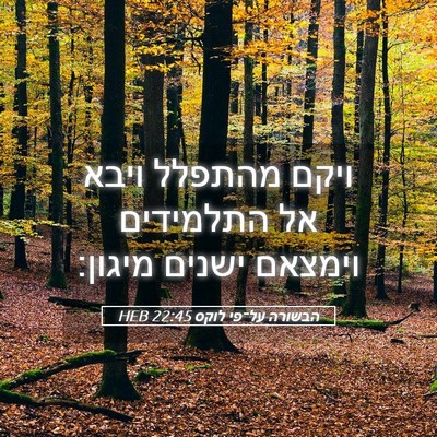 Picture 05 - הבשורה על־פי לוקס 22:45 HEB - ויקם מהתפלל ויבא אל - Bible Verse Picture