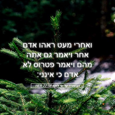 Picture 05 - הבשורה על־פי לוקס 22:58 HEB - ואחרי מעט ראהו אדם אחר - Bible Verse Picture