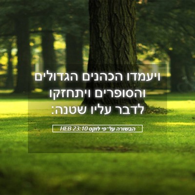 Picture 05 - הבשורה על־פי לוקס 23:10 HEB - ויעמדו הכהנים הגדולים - Bible Verse Picture