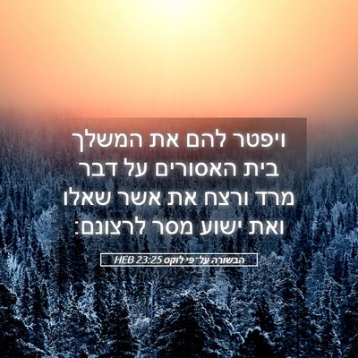 Picture 05 - הבשורה על־פי לוקס 23:25 HEB - ויפטר להם את המשלך בית - Bible Verse Picture