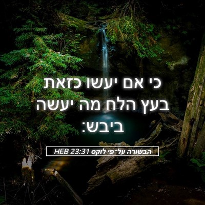 Picture 05 - הבשורה על־פי לוקס 23:31 HEB - כי אם יעשו כזאת בעץ הלח מה - Bible Verse Picture