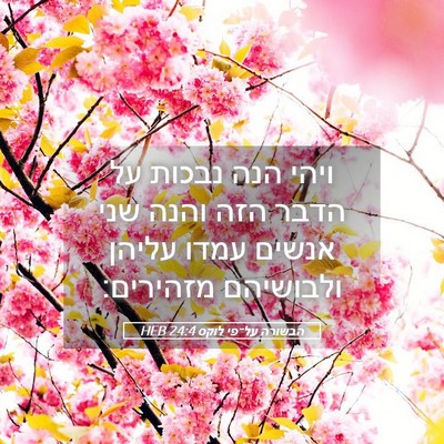 Picture 05 - הבשורה על־פי לוקס 24:4 HEB - ויהי הנה נבכות על הדבר הזה - Bible Verse Picture