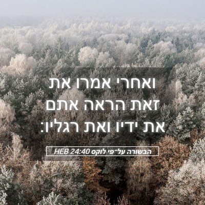 Picture 05 - הבשורה על־פי לוקס 24:40 HEB - ואחרי אמרו את זאת הראה אתם - Bible Verse Picture