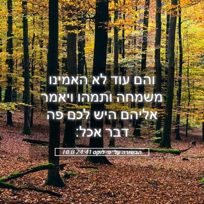 Picture 05 - הבשורה על־פי לוקס 24:41 HEB - והם עוד לא האמינו משמחה - Bible Verse Picture