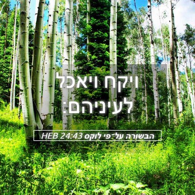 Picture 05 - הבשורה על־פי לוקס 24:43 HEB - ויקח ויאכל - Bible Verse Picture