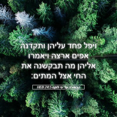 Picture 05 - הבשורה על־פי לוקס 24:5 HEB - ויפל פחד עליהן ותקדנה אפים - Bible Verse Picture