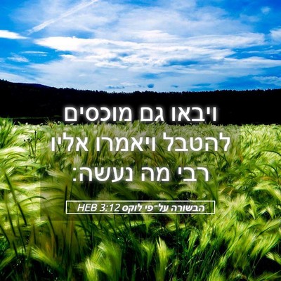 Picture 05 - הבשורה על־פי לוקס 3:12 HEB - ויבאו גם מוכסים להטבל - Bible Verse Picture