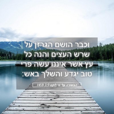 Picture 05 - הבשורה על־פי לוקס 3:9 HEB - וכבר הושם הגרזן על שרש - Bible Verse Picture