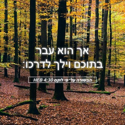 Picture 05 - הבשורה על־פי לוקס 4:30 HEB - אך הוא עבר בתוכם וילך - Bible Verse Picture