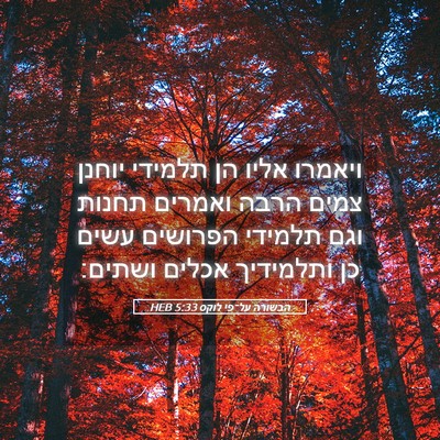 Picture 05 - הבשורה על־פי לוקס 5:33 HEB - ויאמרו אליו הן תלמידי - Bible Verse Picture