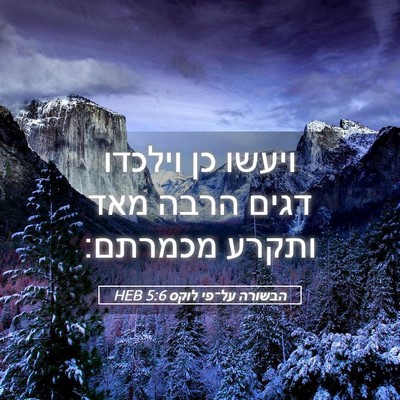 Picture 05 - הבשורה על־פי לוקס 5:6 HEB - ויעשו כן וילכדו דגים הרבה - Bible Verse Picture