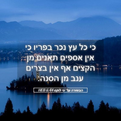 Picture 05 - הבשורה על־פי לוקס 6:44 HEB - כי כל עץ נכר בפריו כי אין - Bible Verse Picture