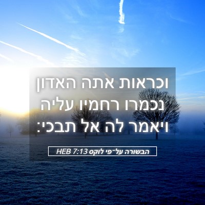 Picture 05 - הבשורה על־פי לוקס 7:13 HEB - וכראות אתה האדון נכמרו - Bible Verse Picture