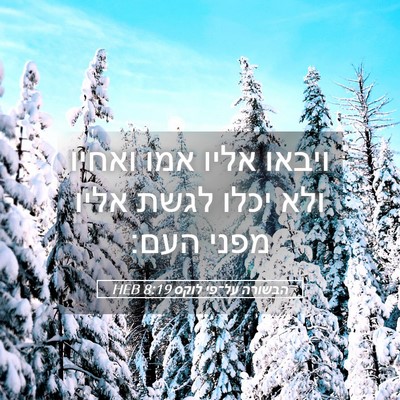 Picture 05 - הבשורה על־פי לוקס 8:19 HEB - ויבאו אליו אמו ואחיו ולא - Bible Verse Picture