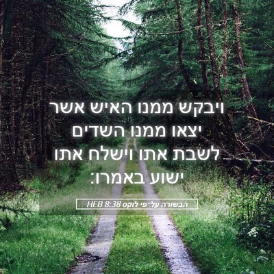 Picture 05 - הבשורה על־פי לוקס 8:38 HEB - ויבקש ממנו האיש אשר יצאו - Bible Verse Picture