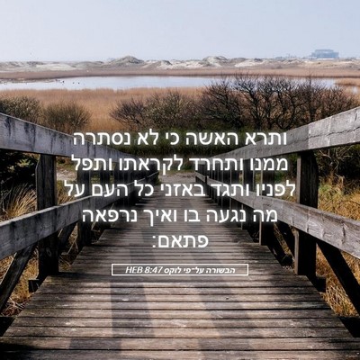 Picture 05 - הבשורה על־פי לוקס 8:47 HEB - ותרא האשה כי לא נסתרה ממנו - Bible Verse Picture