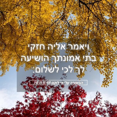 Picture 05 - הבשורה על־פי לוקס 8:48 HEB - ויאמר אליה חזקי בתי אמונתך - Bible Verse Picture