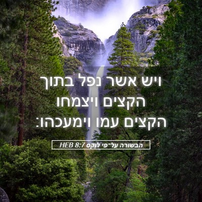 Picture 05 - הבשורה על־פי לוקס 8:7 HEB - ויש אשר נפל בתוך הקצים - Bible Verse Picture