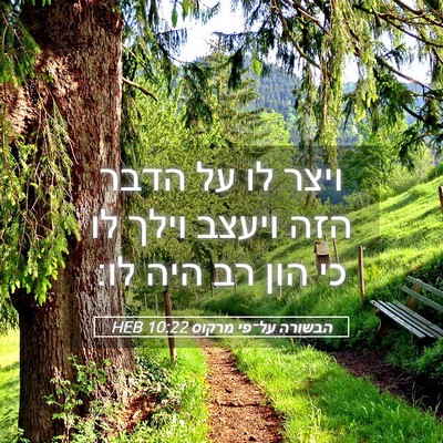 Picture 05 - הבשורה על־פי מרקוס 10:22 HEB - ויצר לו על הדבר הזה ויעצב - Bible Verse Picture