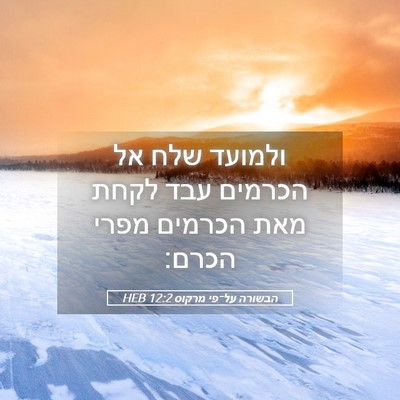 Picture 05 - הבשורה על־פי מרקוס 12:2 HEB - ולמועד שלח אל הכרמים עבד - Bible Verse Picture