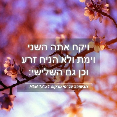Picture 05 - הבשורה על־פי מרקוס 12:21 HEB - ויקח אתה השני וימת ולא הניח - Bible Verse Picture