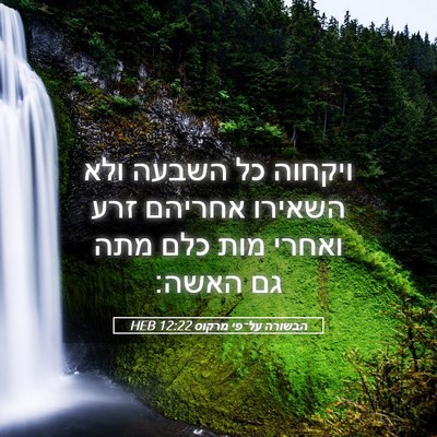 Picture 05 - הבשורה על־פי מרקוס 12:22 HEB - ויקחוה כל השבעה ולא השאירו - Bible Verse Picture