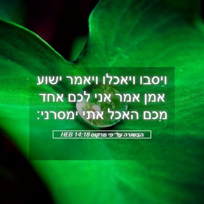 Picture 05 - הבשורה על־פי מרקוס 14:18 HEB - ויסבו ויאכלו ויאמר ישוע - Bible Verse Picture