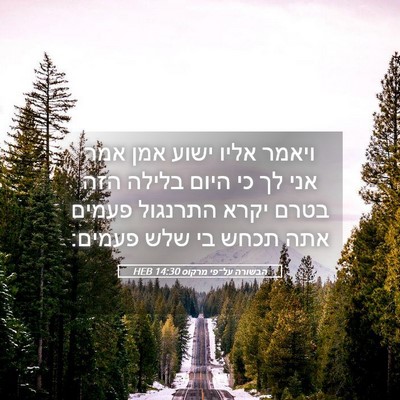 Picture 05 - הבשורה על־פי מרקוס 14:30 HEB - ויאמר אליו ישוע אמן אמר אני - Bible Verse Picture