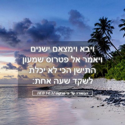 Picture 05 - הבשורה על־פי מרקוס 14:37 HEB - ויבא וימצאם ישנים ויאמר אל - Bible Verse Picture