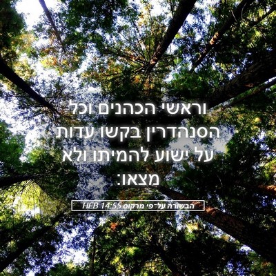 Picture 05 - הבשורה על־פי מרקוס 14:55 HEB - וראשי הכהנים וכל הסנהדרין - Bible Verse Picture