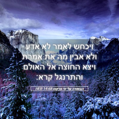 Picture 05 - הבשורה על־פי מרקוס 14:68 HEB - ויכחש לאמר לא אדע ולא אבין - Bible Verse Picture