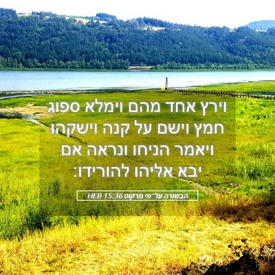 Picture 05 - הבשורה על־פי מרקוס 15:36 HEB - וירץ אחד מהם וימלא ספוג חמץ - Bible Verse Picture