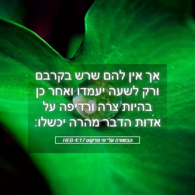 Picture 05 - הבשורה על־פי מרקוס 4:17 HEB - אך אין להם שרש בקרבם ורק - Bible Verse Picture