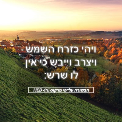 Picture 05 - הבשורה על־פי מרקוס 4:6 HEB - ויהי כזרח השמש ויצרב וייבש - Bible Verse Picture