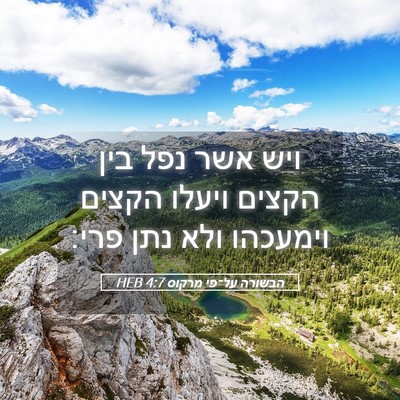 Picture 05 - הבשורה על־פי מרקוס 4:7 HEB - ויש אשר נפל בין הקצים ויעלו - Bible Verse Picture