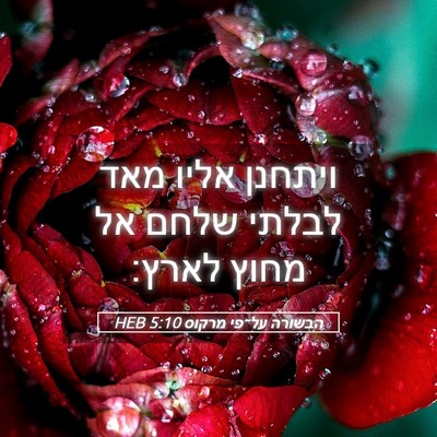 Picture 05 - הבשורה על־פי מרקוס 5:10 HEB - ויתחנן אליו מאד לבלתי שלחם - Bible Verse Picture